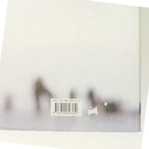 Kronprinsessen : roman af Hanne-Vibeke Holst (Bog)