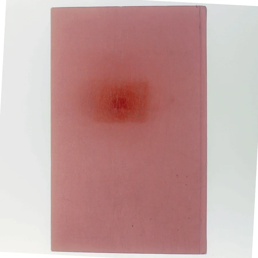 Bruden fra Gent af Dorrit Willumsen (Bog)