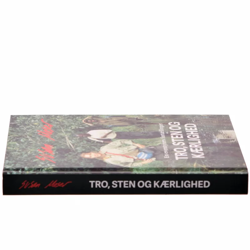 Tro, sten og kærlighed af Susan Moser (Bog)