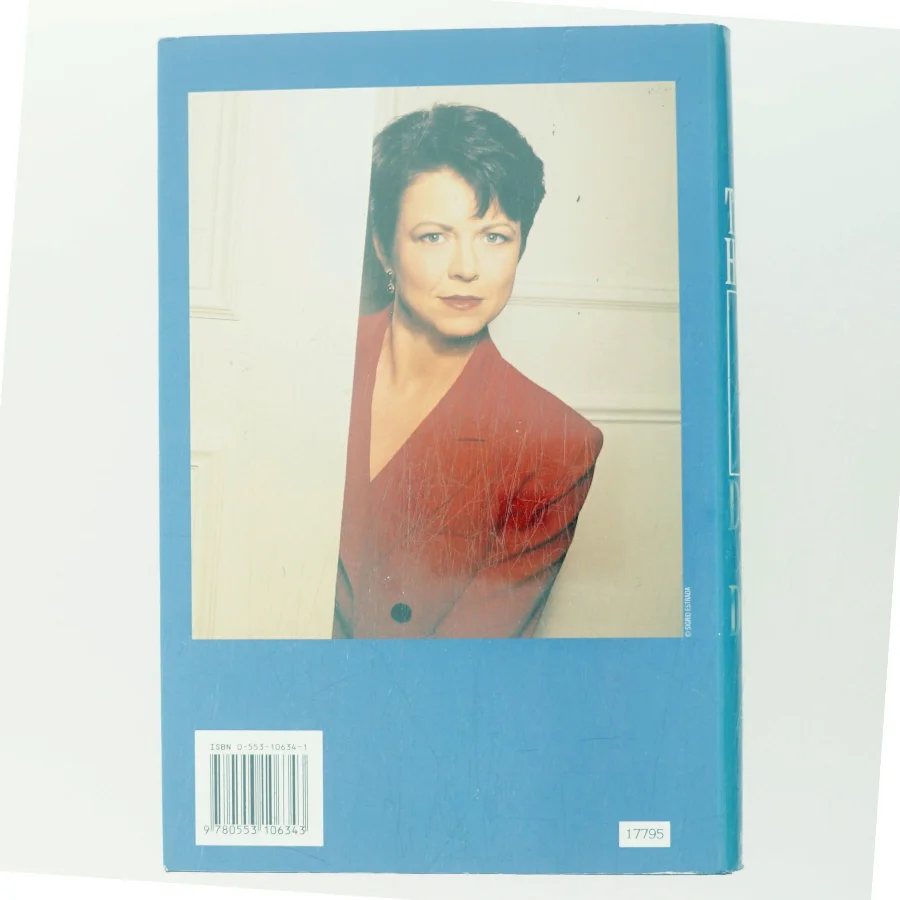 Dust to Dust af Tami Hoag (Bog)