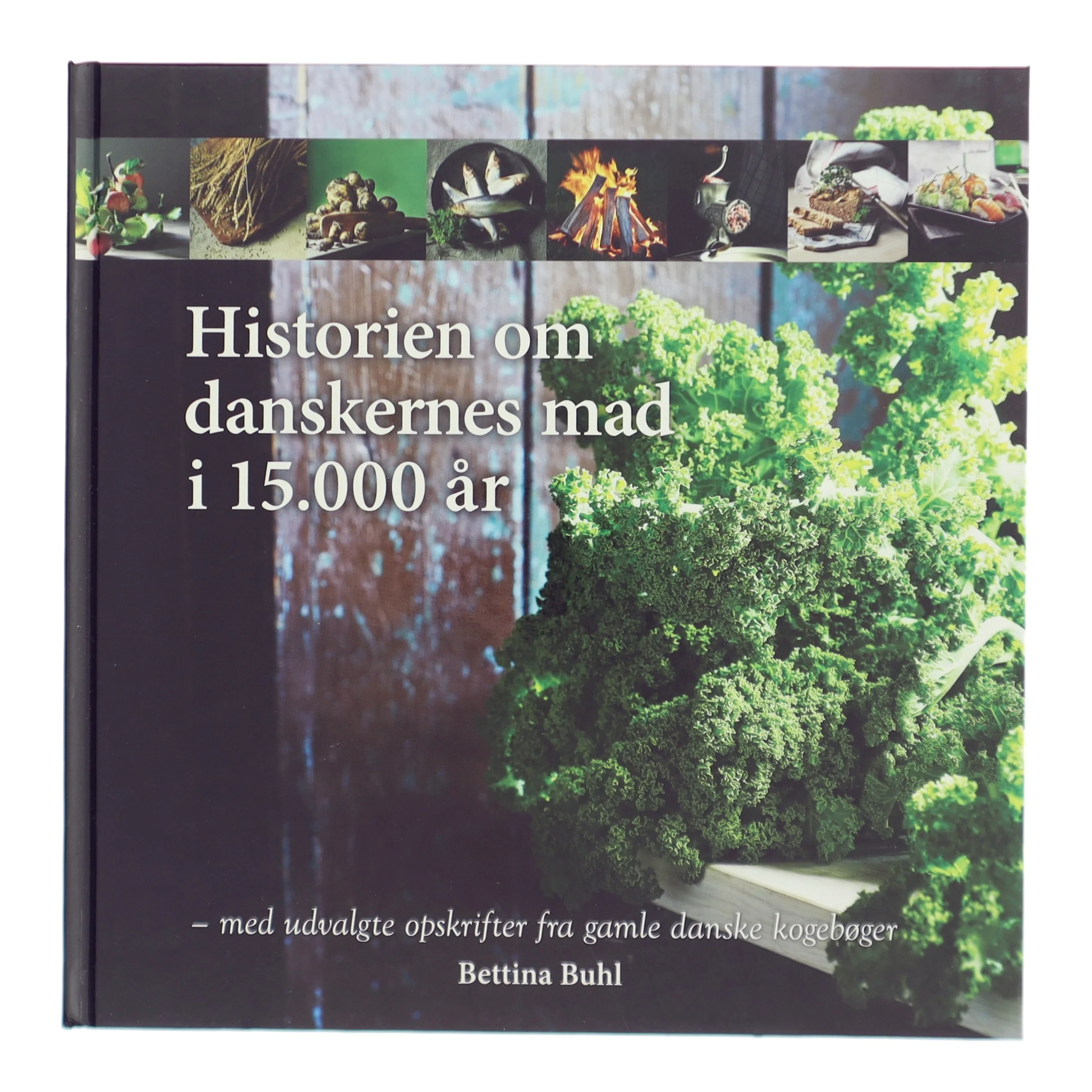 Historien om danskernes mad i 15.000 år : med udvalgte opskrifter fra gamle danske kogebøger af Bettina Buhl (Bog)