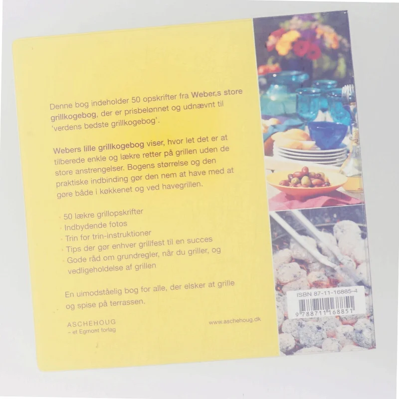 Webers lille grillkogebog af Matthew Drennan (Bog)