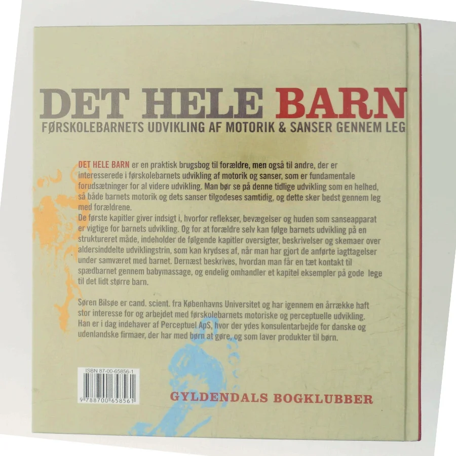 Det hele barn af Søren Bilsøe (Bog)