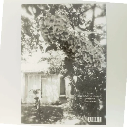 Pilgrim i hjertet : essays, digte og fortællinger af Majbritte Ulrikkeholm (Bog)