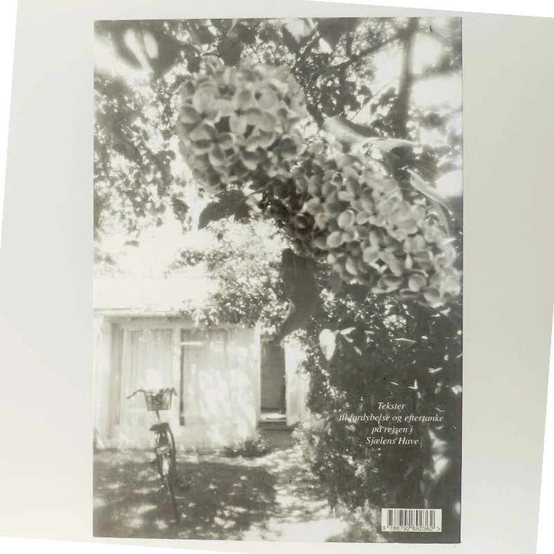 Pilgrim i hjertet : essays, digte og fortællinger af Majbritte Ulrikkeholm (Bog)