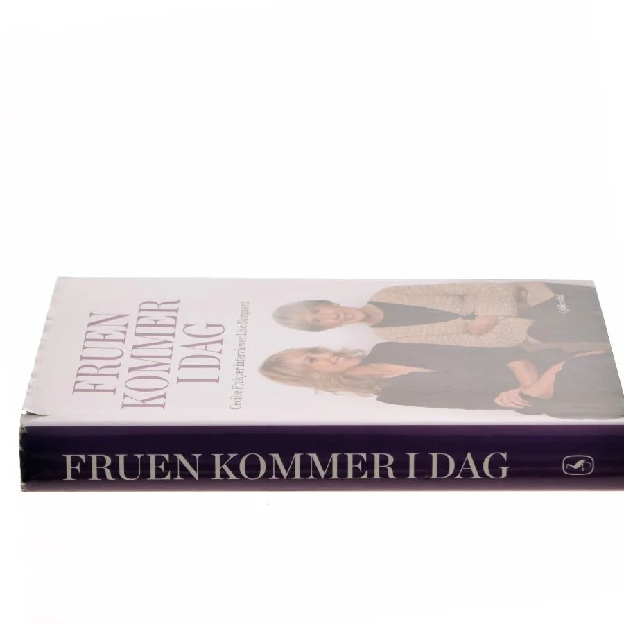 Fruen kommer i dag af Cecilie Frøkjær (Bog)
