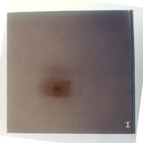 Herregårdsliv: Beretninger fra århundredskiftet (Bog)