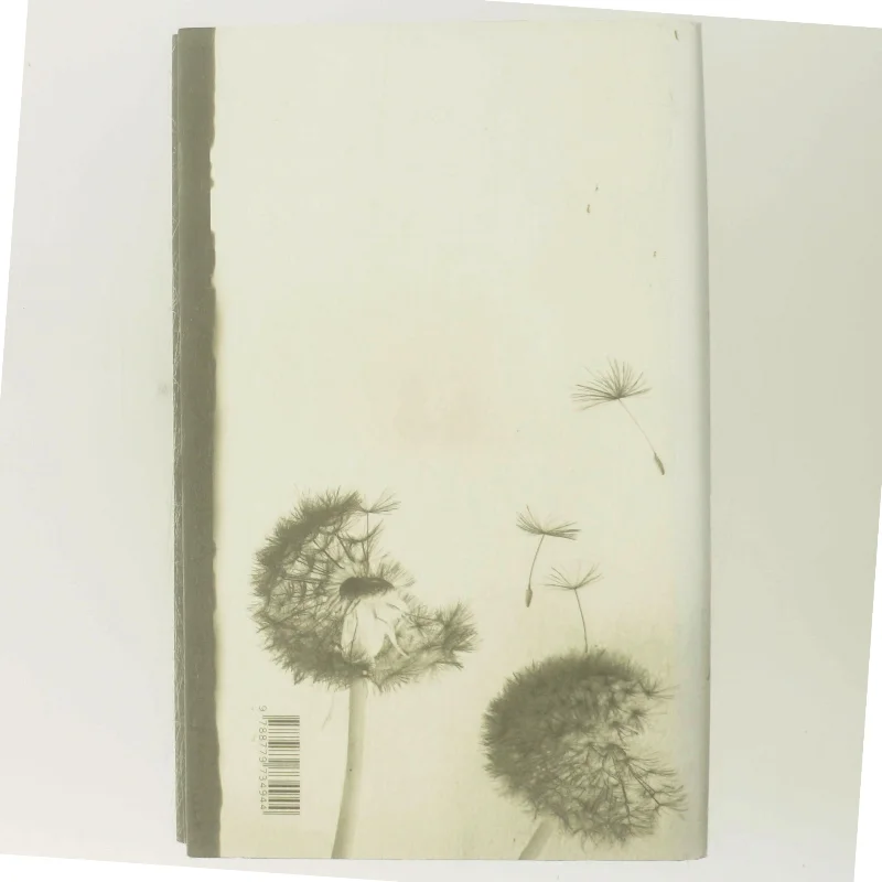 Når noget slutter (Læsekredssæt) af Julian Barnes (Bog)