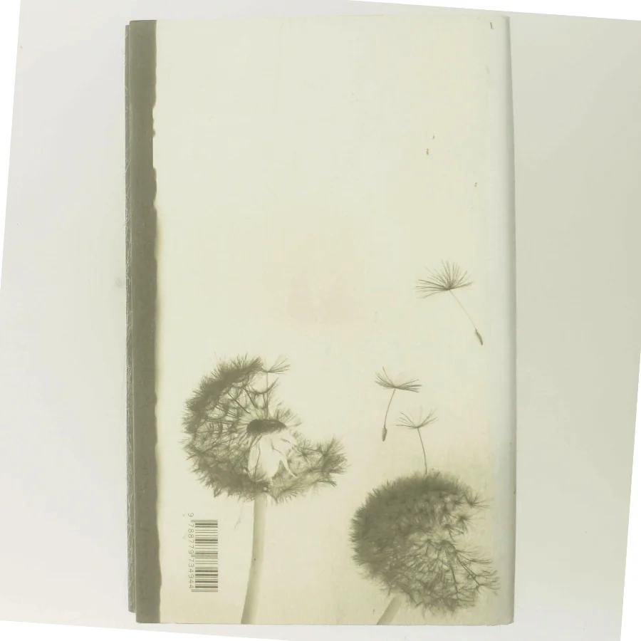 Når noget slutter (Læsekredssæt) af Julian Barnes (Bog)