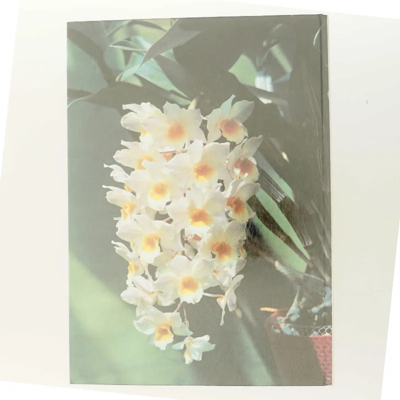 Alt om stueplanter: Orkidéer (Bog)