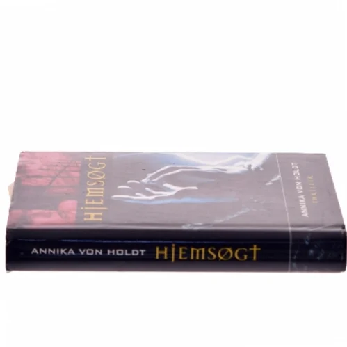Hjemsøgt af Annika von Holdt (Bog)