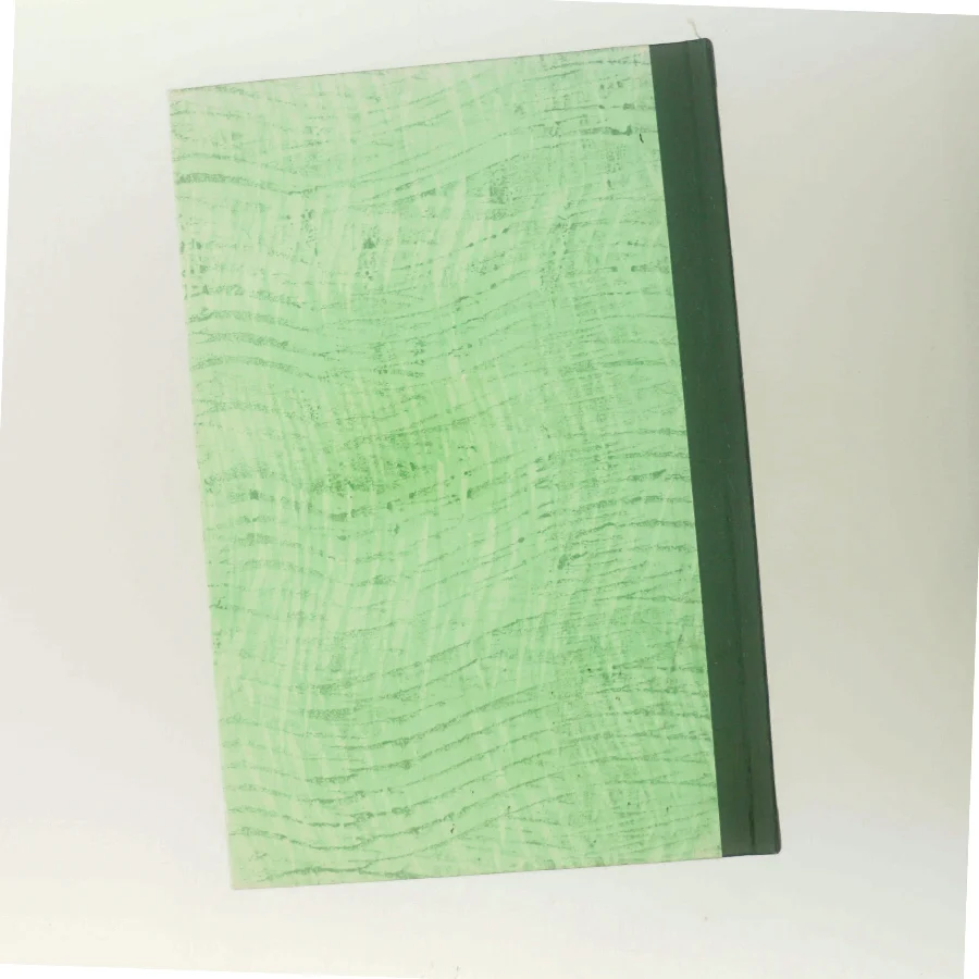 The Snow Goose af Paul Gallico (Bog)