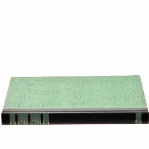 The Snow Goose af Paul Gallico (Bog)