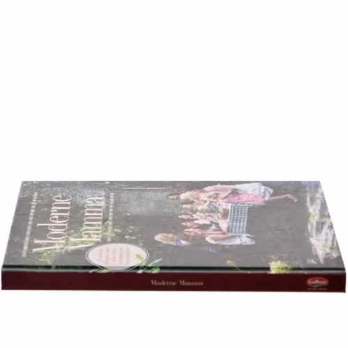 Moderne Mamma af Ukendt (Bog)