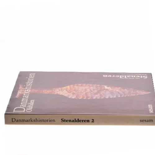 Danmarkshistorien Oldtiden af Poul Otto Nielsen (Bog)