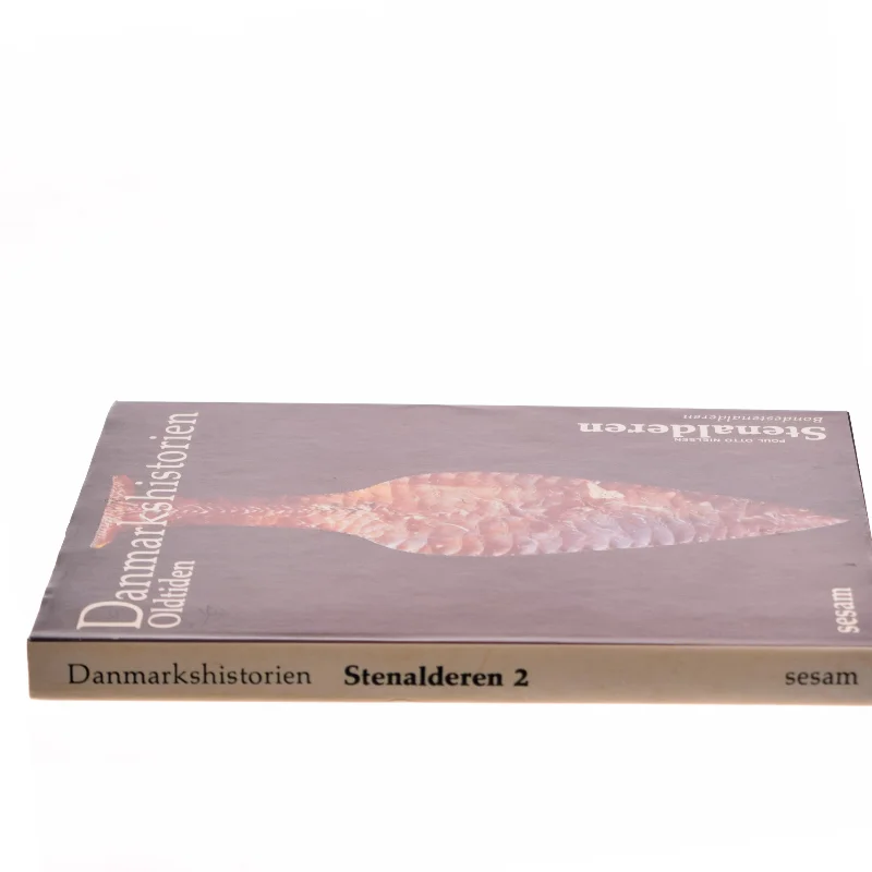 Danmarkshistorien Oldtiden af Poul Otto Nielsen (Bog)