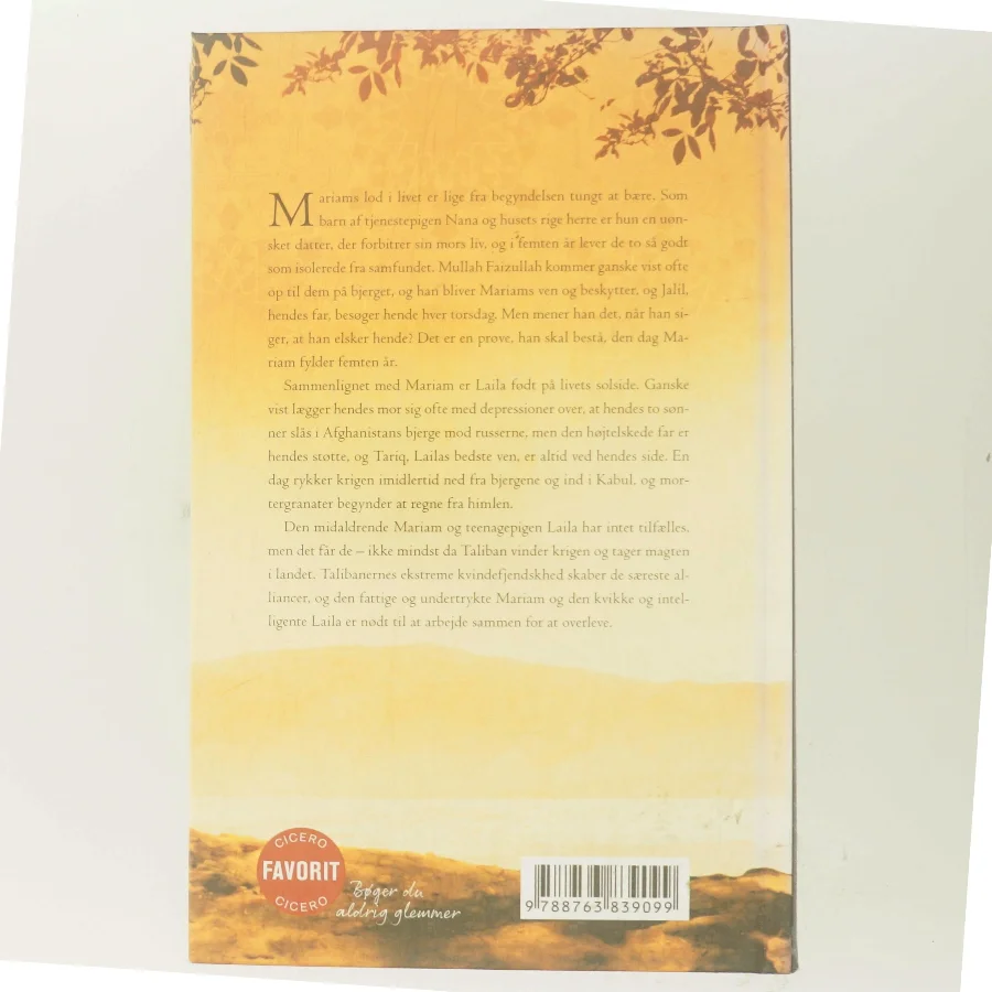 Under en strålende sol af Khaled Hosseini (Bog)