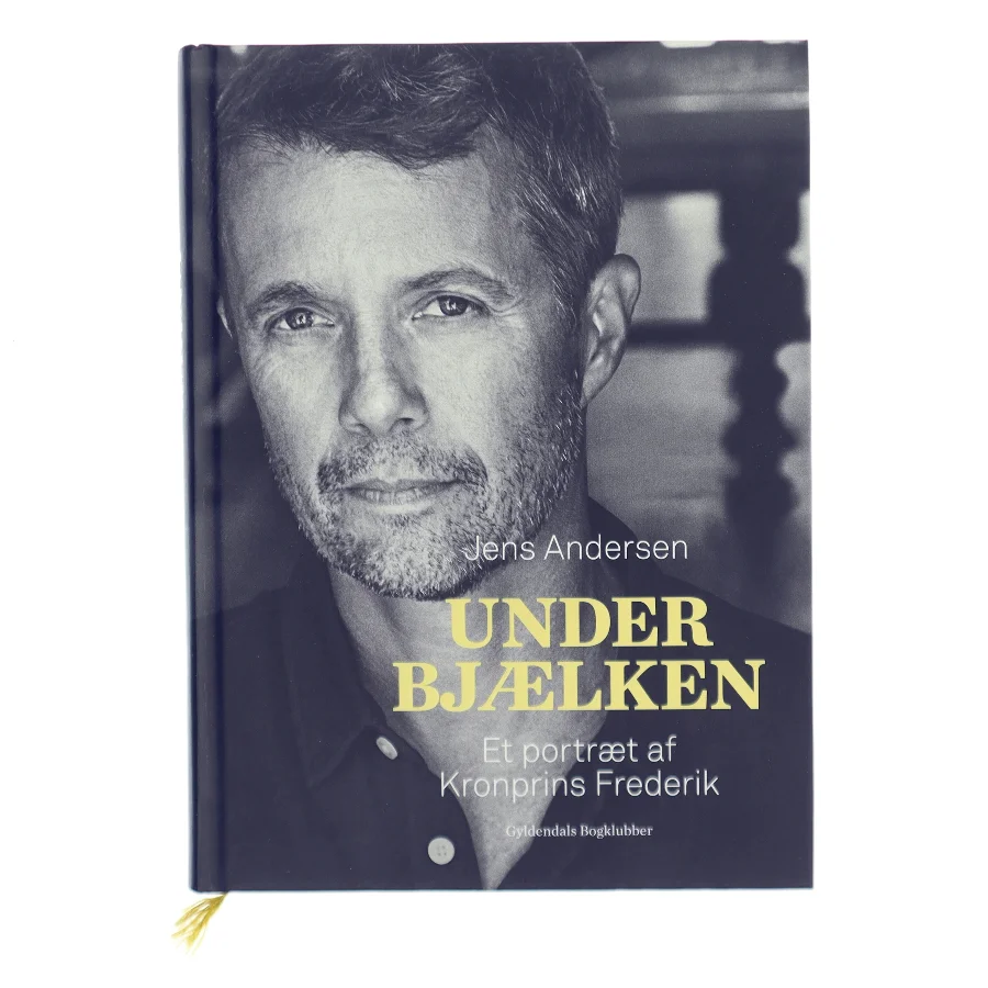 Under bjælken : et portræt af Kronprins Frederik af Jens Andersen (f. 1955) (Bog)