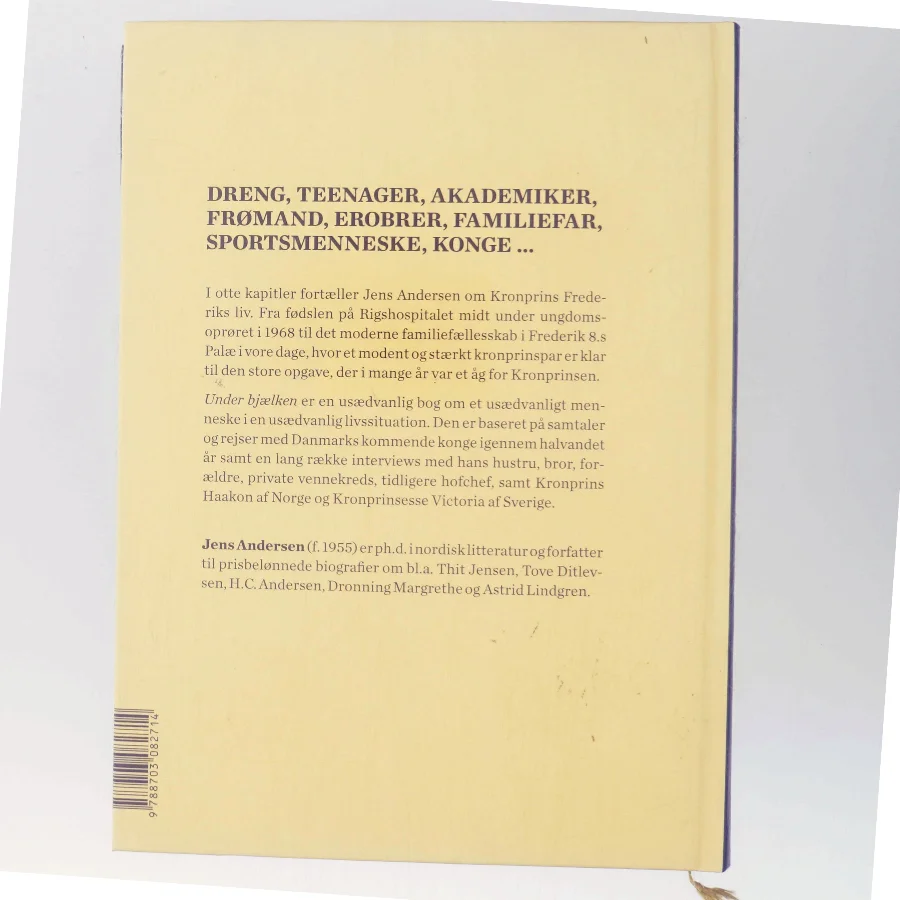 Under bjælken : et portræt af Kronprins Frederik af Jens Andersen (f. 1955) (Bog)