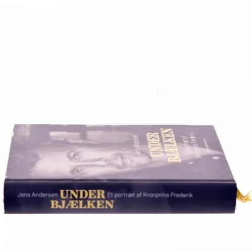Under bjælken : et portræt af Kronprins Frederik af Jens Andersen (f. 1955) (Bog)