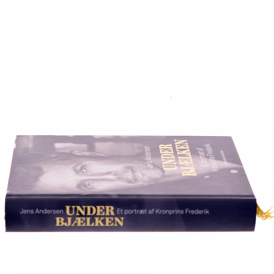 Under bjælken : et portræt af Kronprins Frederik af Jens Andersen (f. 1955) (Bog)