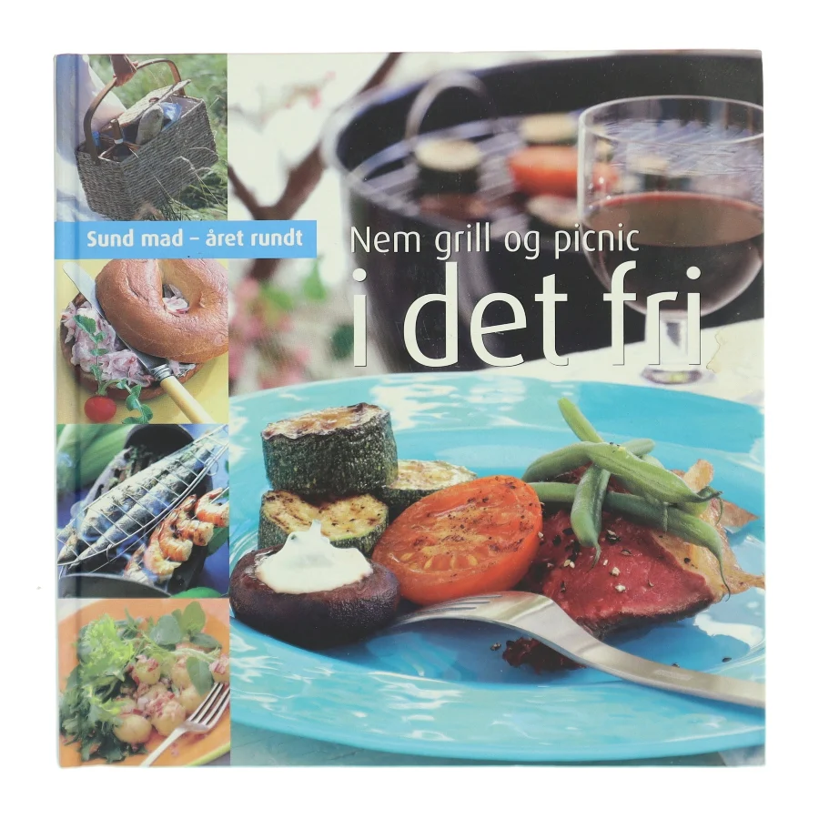 Nem grill og picnic i det fri af Helle Brønnum Carlsen (Bog)