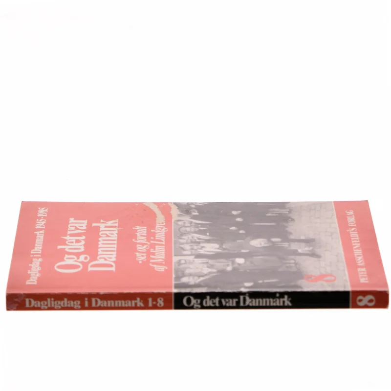 Og det var Danmark af Malin Lindgren (Bog)