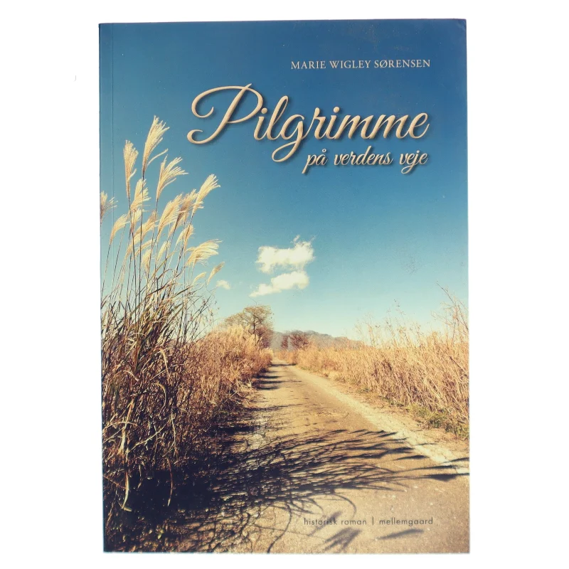 Pilgrimme på verdens veje af Marie Wigley Sørensen (f. 1950) (Bog)