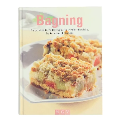 Bagning (Bog)