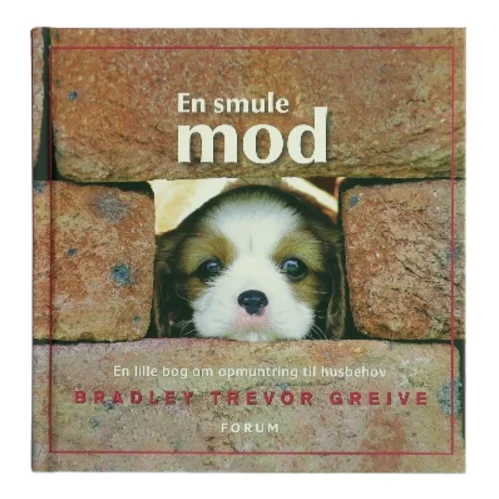 En smule mod af Bradley Trevor Greive (Bog)