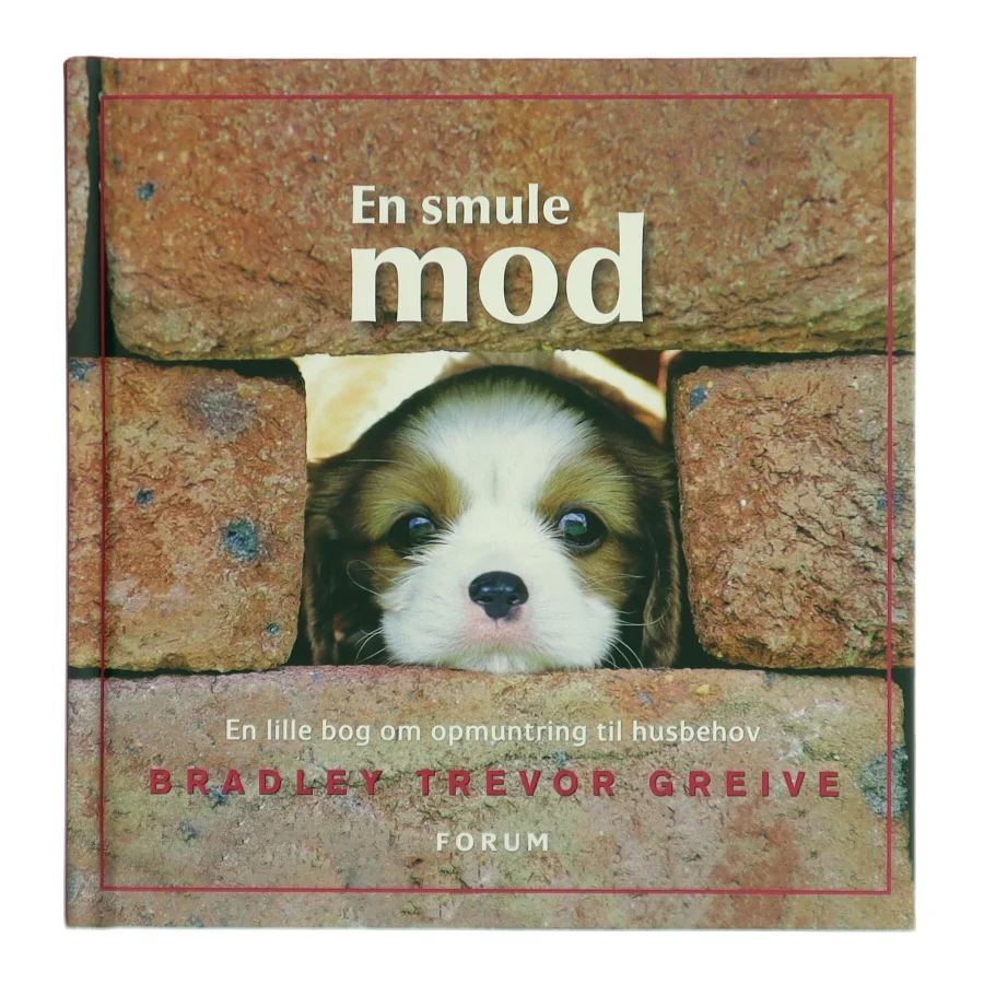 En smule mod af Bradley Trevor Greive (Bog)