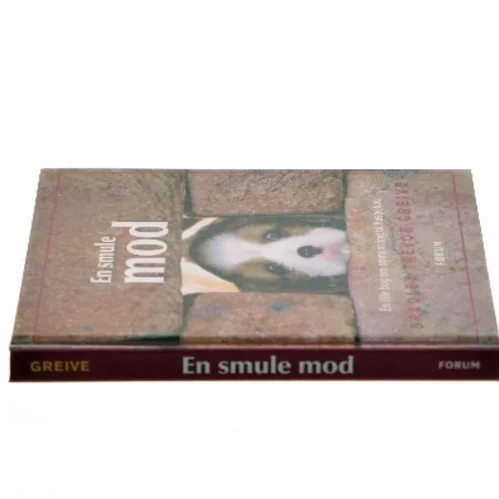 En smule mod af Bradley Trevor Greive (Bog)