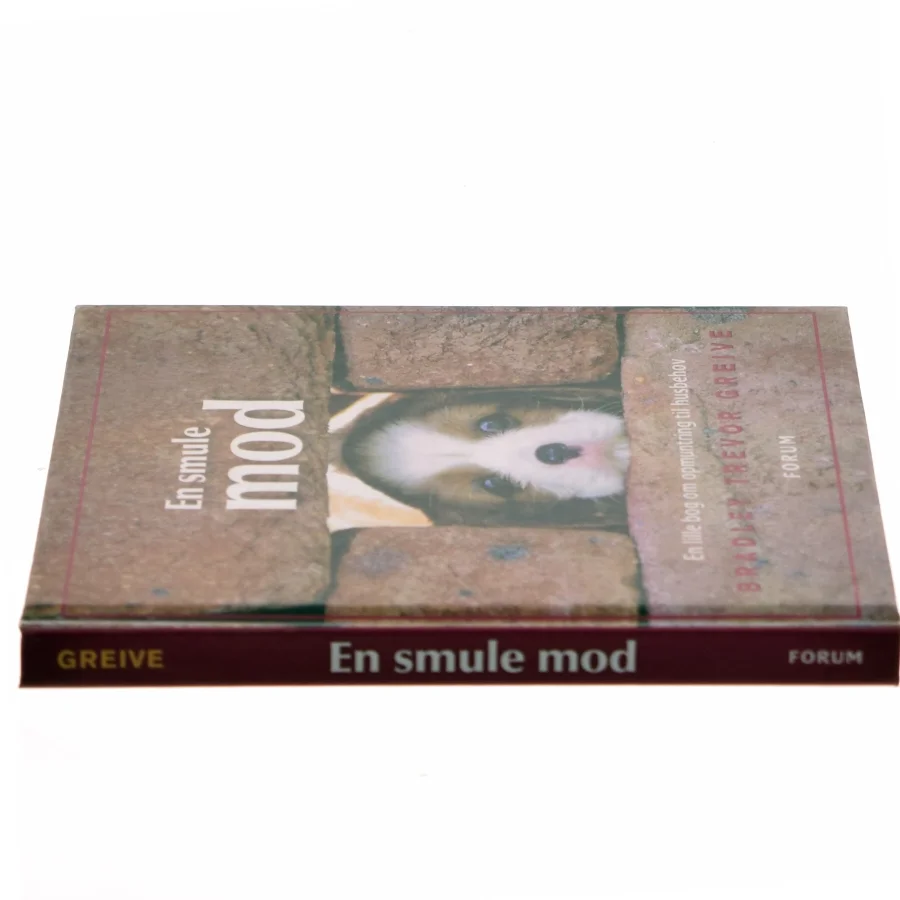 En smule mod af Bradley Trevor Greive (Bog)