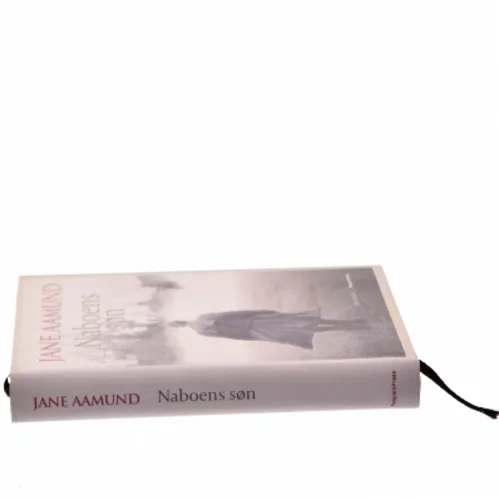 Naboens søn : roman af Jane Aamund (Bog)
