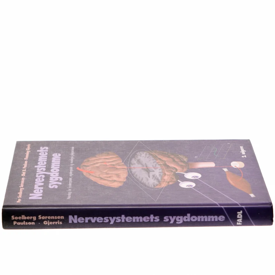 Nervesystemets sygdomme : neurologi for fysioterapeuter, ergoterapeuter og neurologisk plejepersonale (Bog)