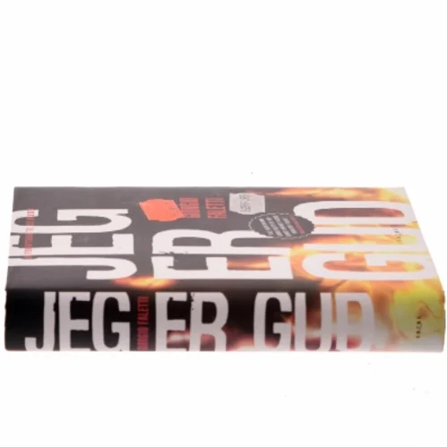 Jeg er gud af Giorgio Faletti (Bog)