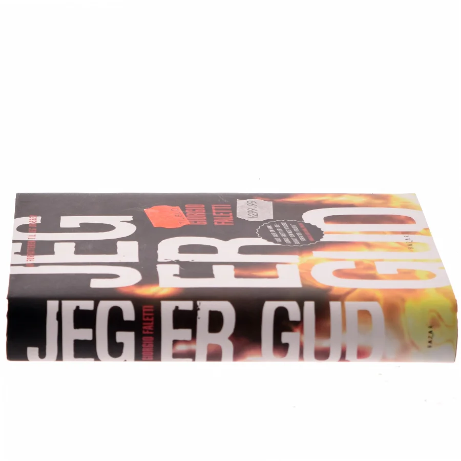 Jeg er gud af Giorgio Faletti (Bog)