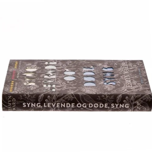 Syng, levende og døde, syng : roman af Jesmyn Ward (Bog)