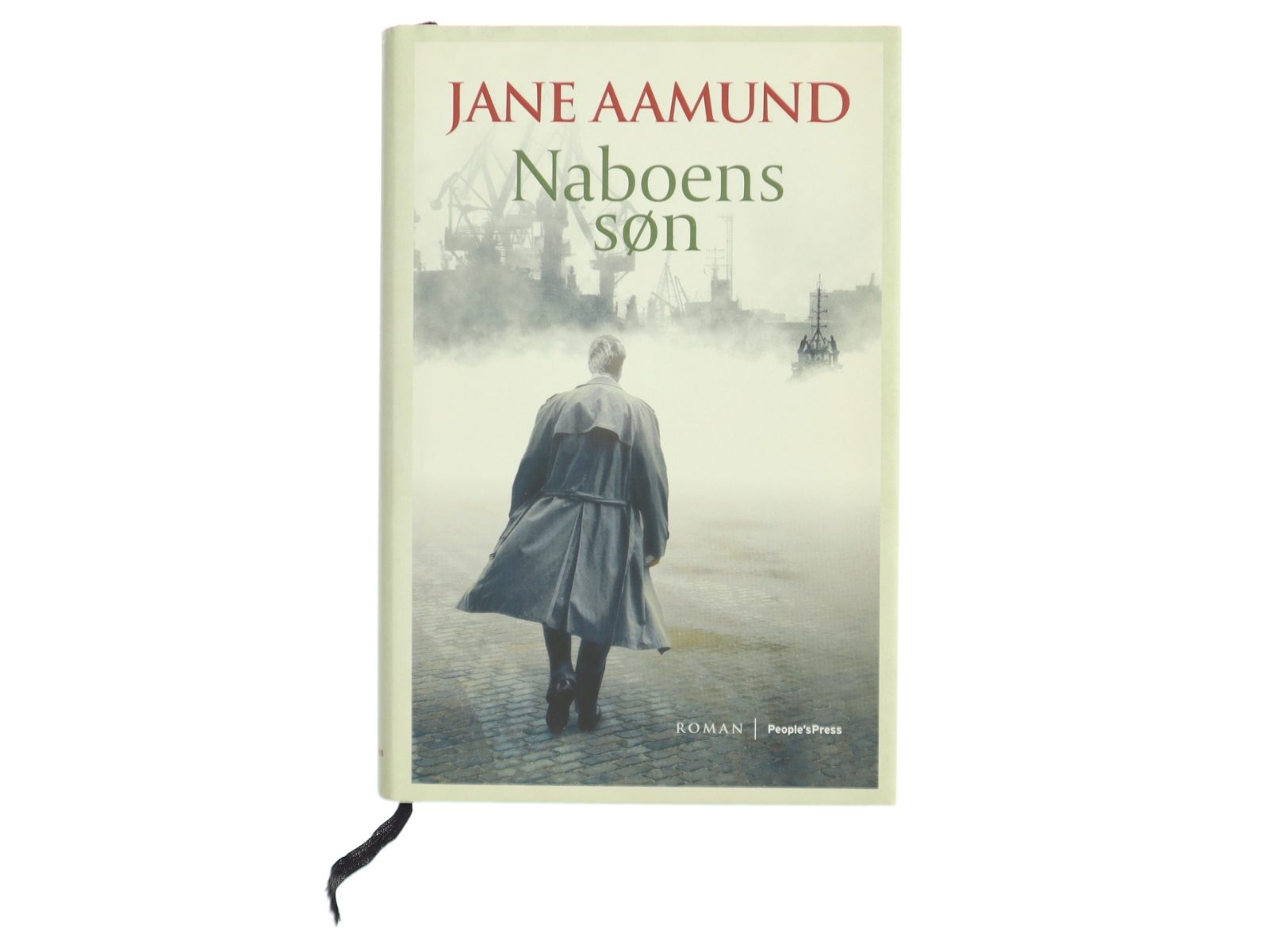 Naboens søn : roman af Jane Aamund (Bog)