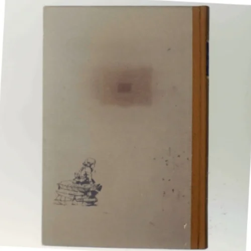 Min barndoms hus (Bog)