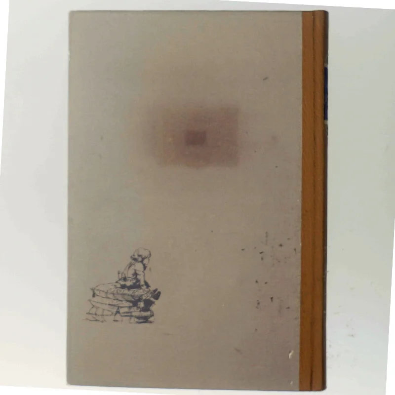 Min barndoms hus (Bog)