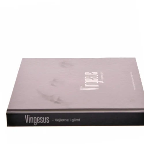 Vingesus af Henrik Haaning Nielsen (Bog)