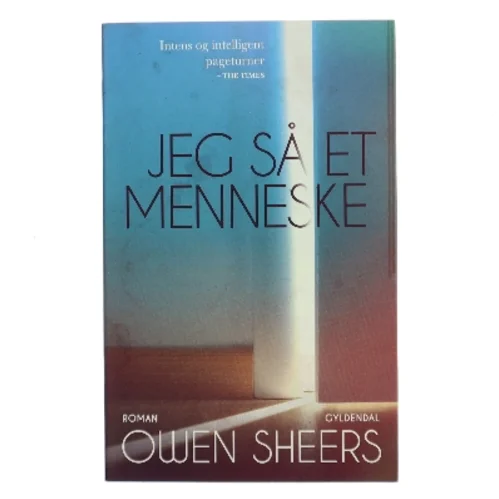 Jeg så et menneske af Owen Sheers (f. 1974) (Bog)