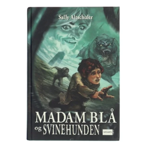 Madam Blå og Svinehunden af Sally Altschuler (Bog)