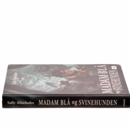 Madam Blå og Svinehunden af Sally Altschuler (Bog)