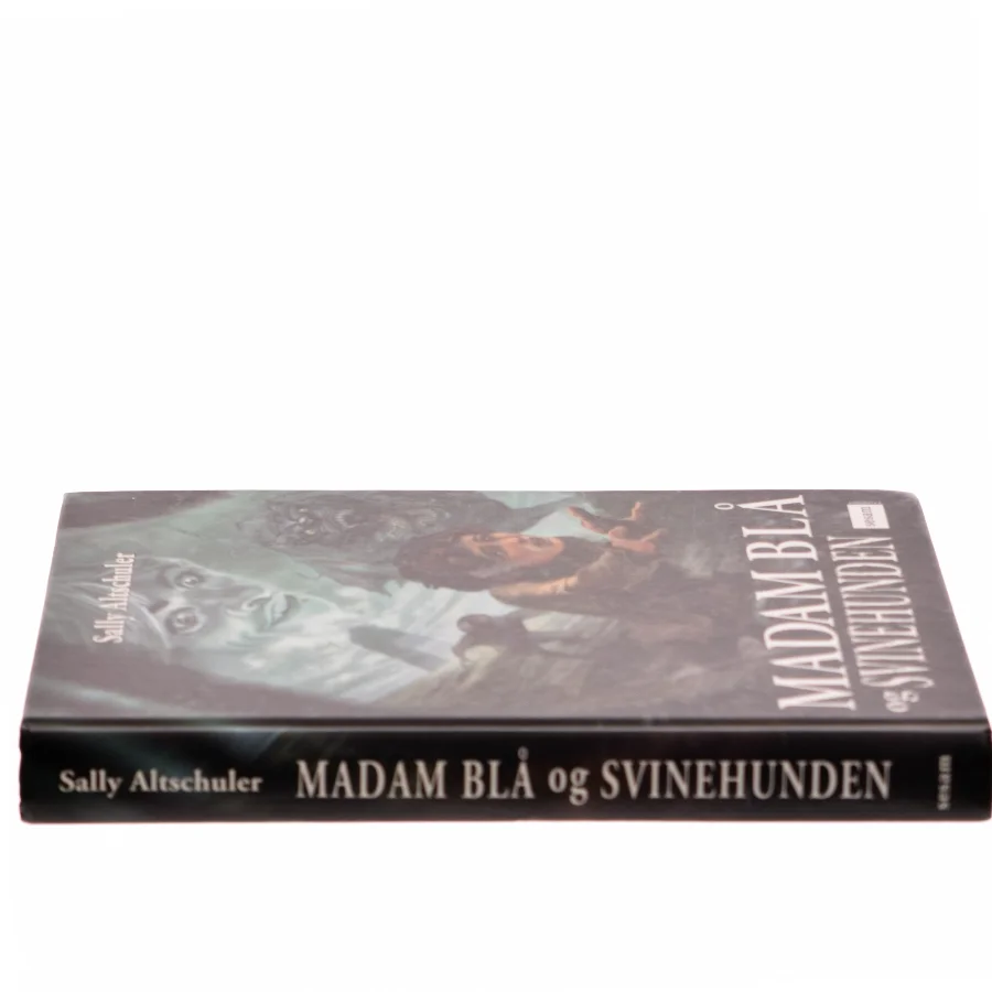 Madam Blå og Svinehunden af Sally Altschuler (Bog)