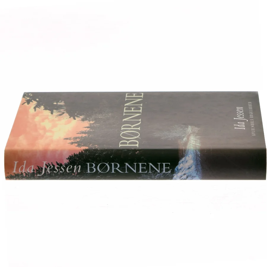 Børnene af Ida Jessen (Bog)