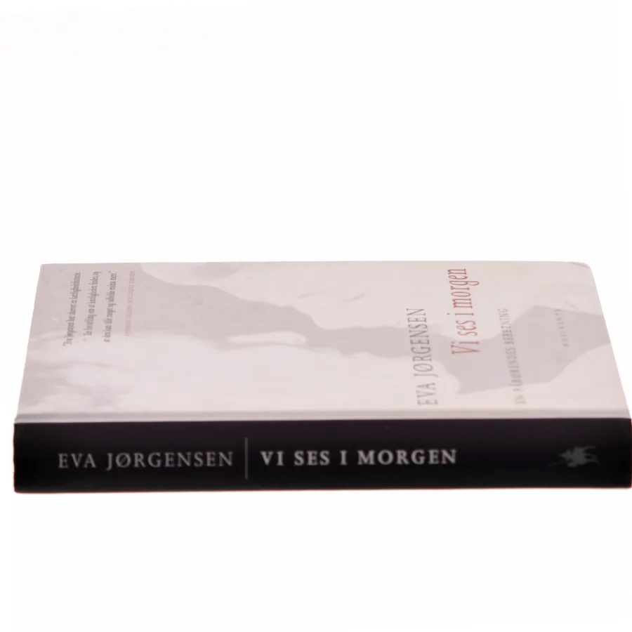 Vi ses i morgen : en pårørendes beretning af Eva Jørgensen (f. 1963) (Bog)