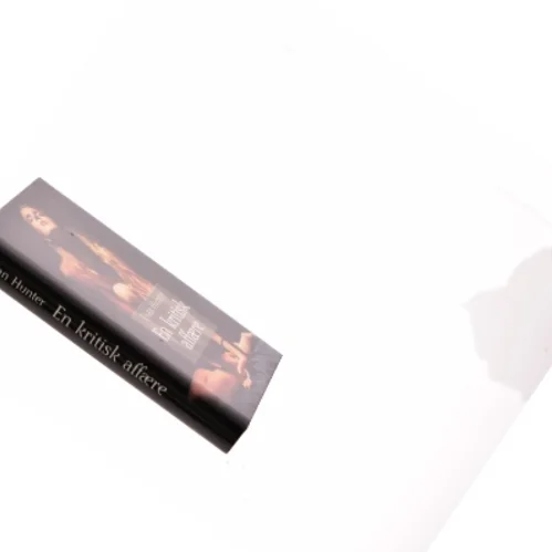 En kritisk affære (bog)