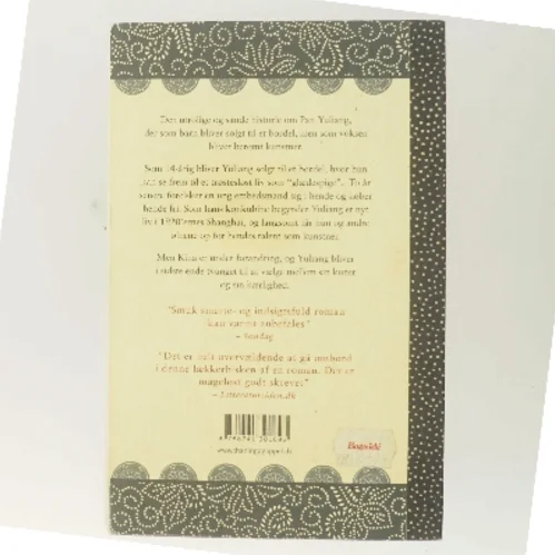 Maleren fra Shanghai : roman af Jennifer Cody Epstein (Bog)